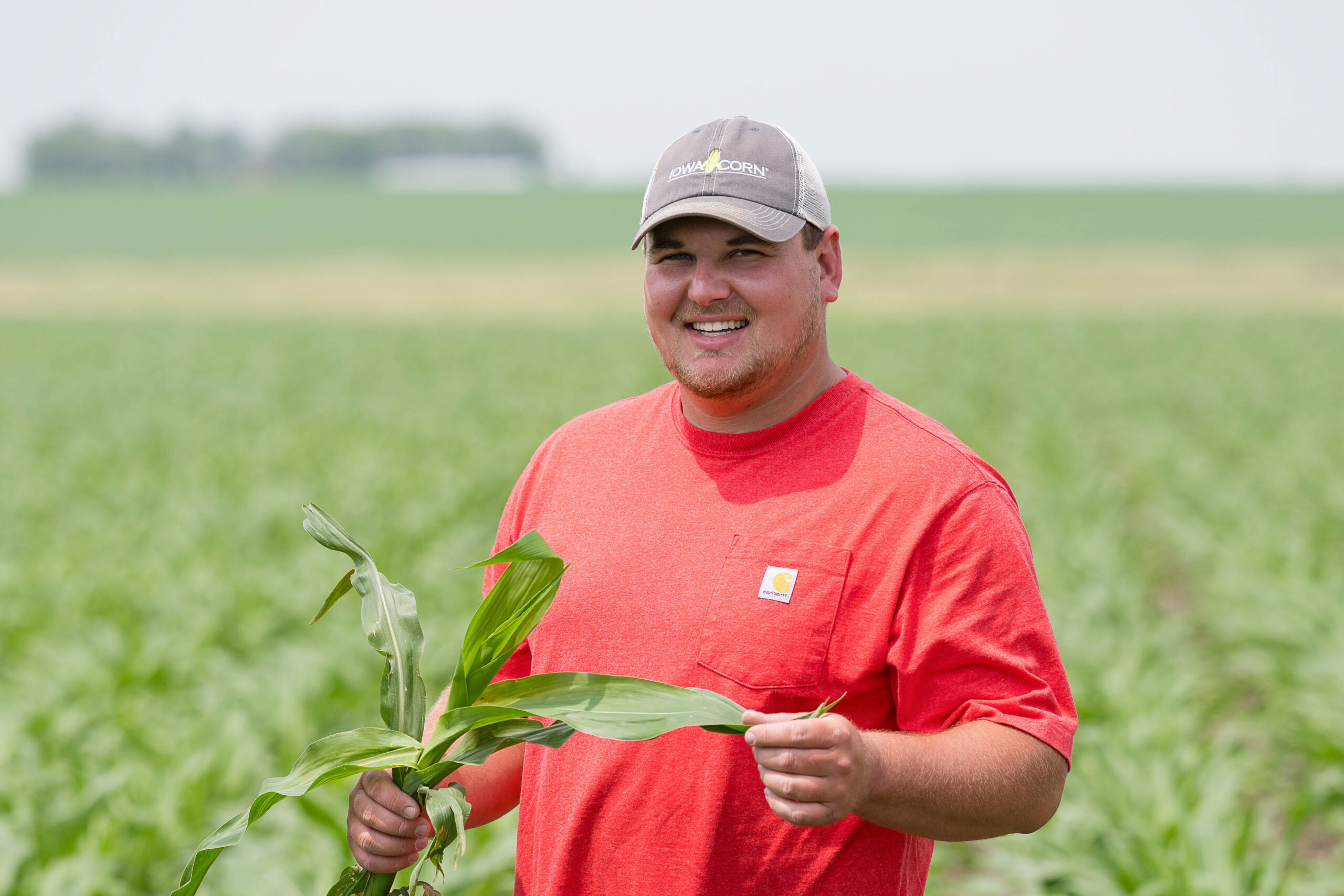 Check-in on the Checkoff: A Partnership Worth Celebrating