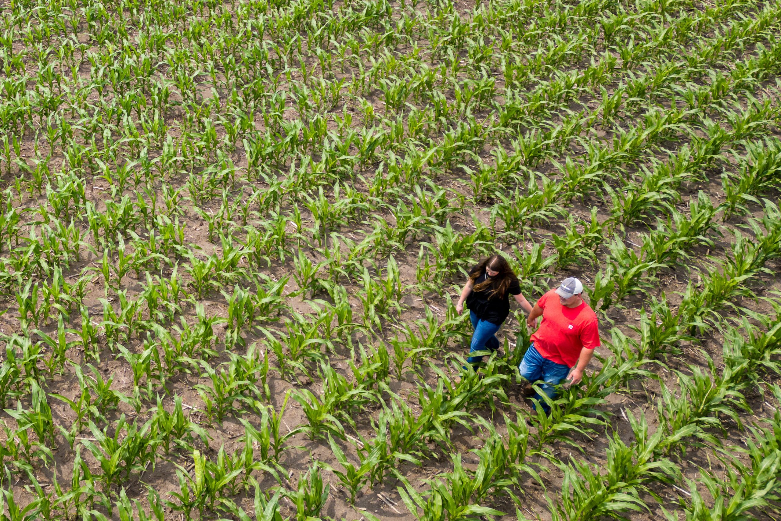 Celebrating Hard Working Iowa Corn Farmers During Iowa Ag Week
