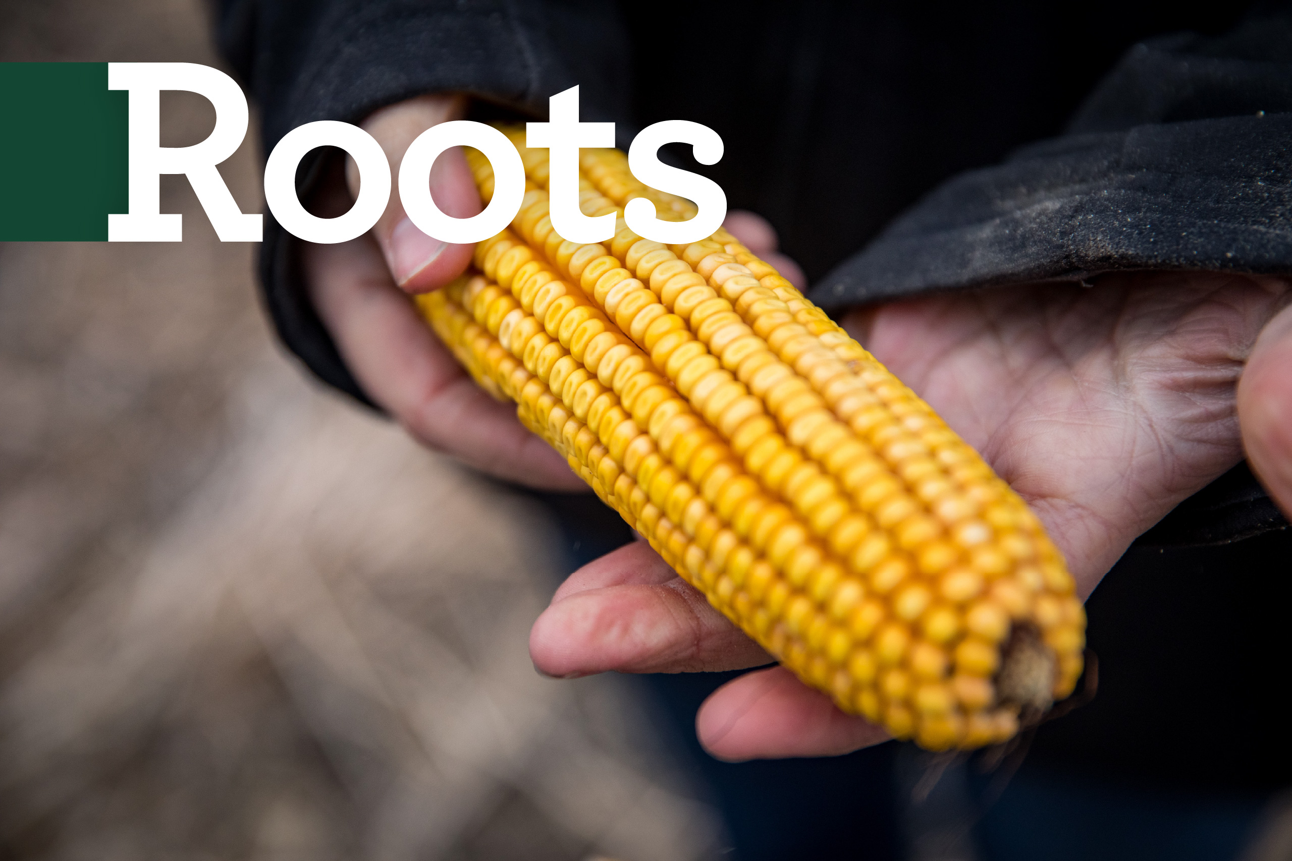 New Uses. New Markets. New Demands.