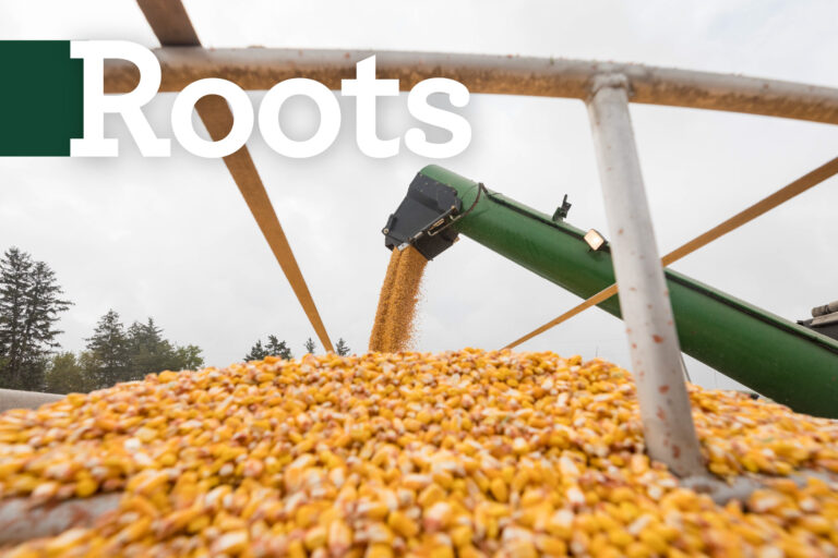 Record Exports, Consistent Customers, New Opportunities