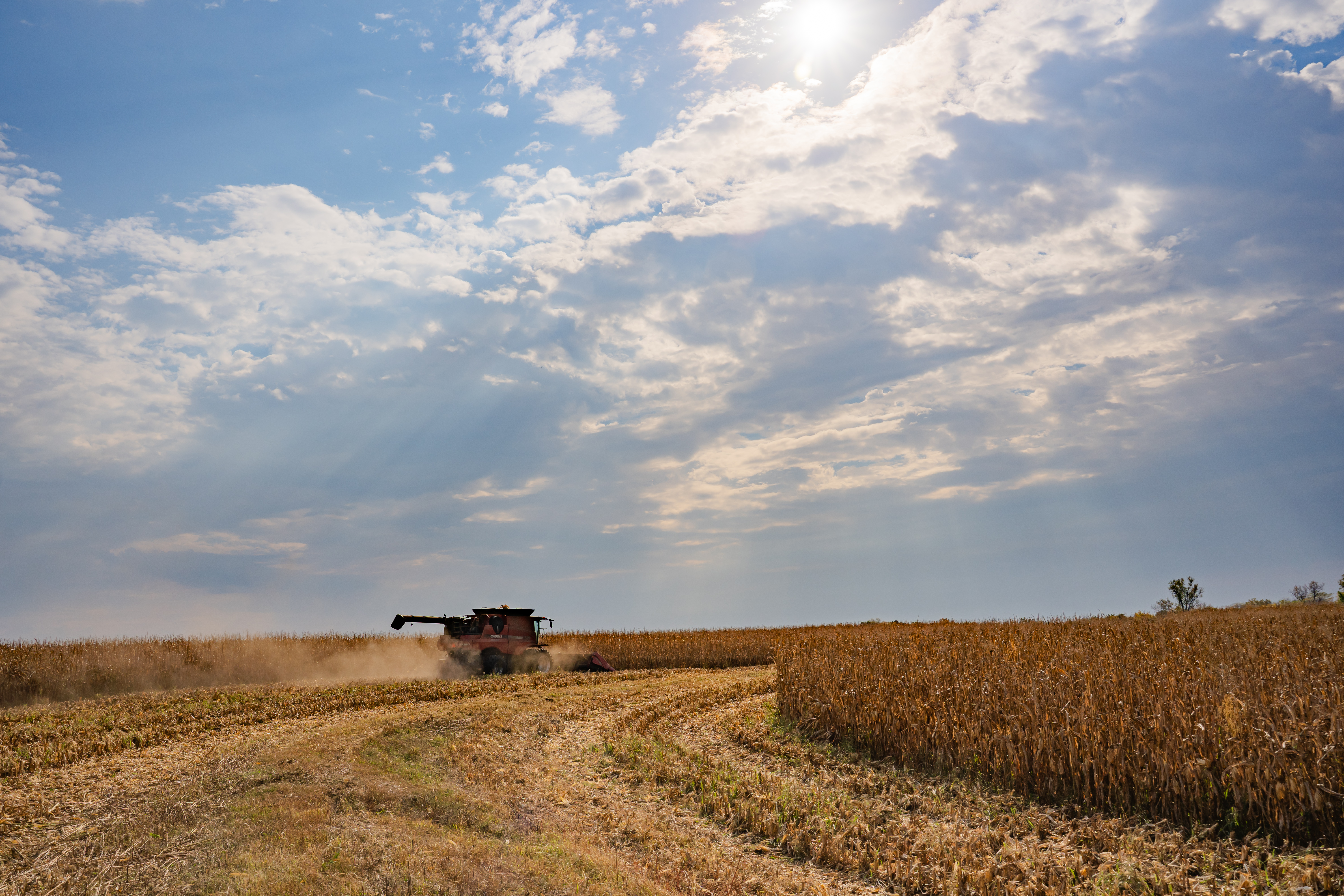 Iowa Corn Welcomes New Class of Collegiate Advisory Team Members